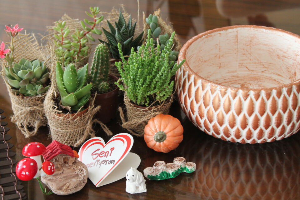 Kendin Tasarla Sukulent Terraryum Yapım Kiti - Özel Seramik Saksılı DIY Hediye Seti