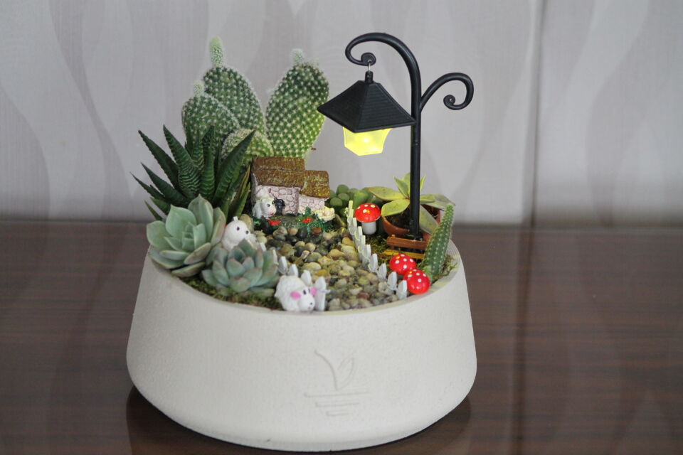 Işıklı Sokak Lambalı Seramik Saksıda Canlı Sukulent Terraryum - Mini Bahçe Seti