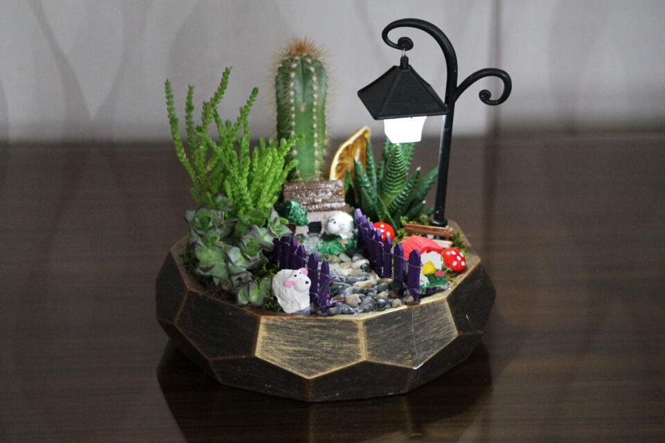 Geometrik Saksıda Işıklı Minyatür Bahçe Canlı Sukulent Terraryum - Özel Tasarım