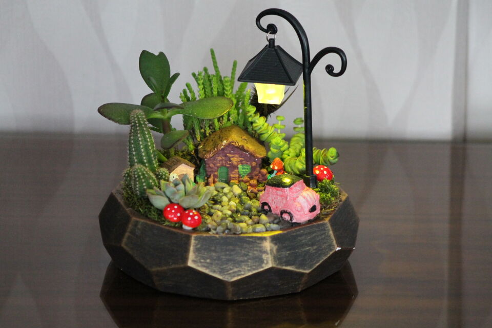 Geometrik Saksıda Pembe Arabalı Işıklı Canlı Sukulent Terraryum - Mini Bahçe
