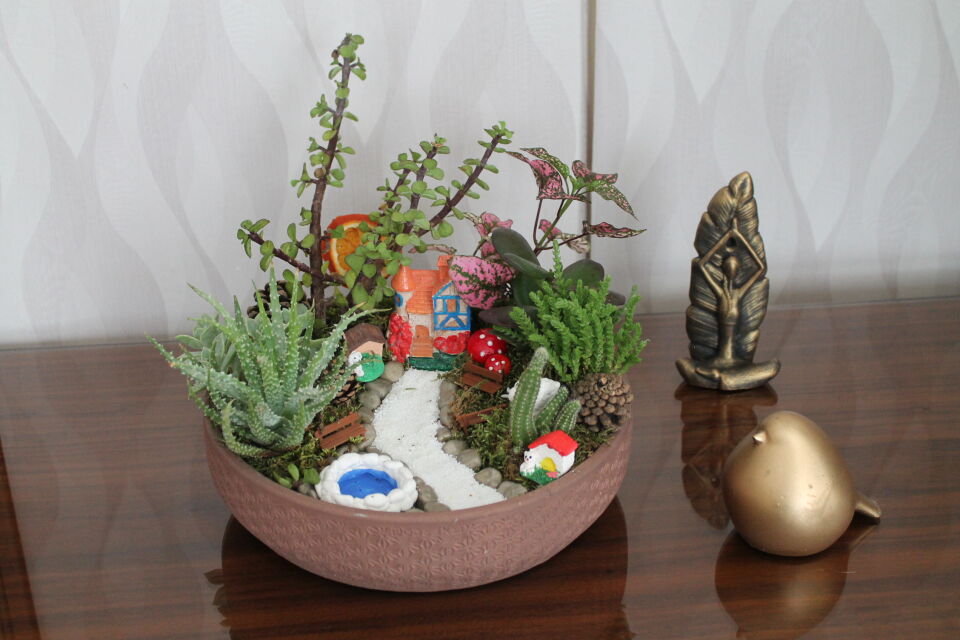 Canlı Sukulent ve Aloe Vera Tasarımlı Köy Evli Sukulent Terraryum
