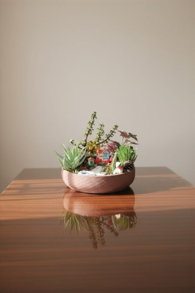 Canlı Sukulent ve Aloe Vera Tasarımlı Köy Evli Sukulent Terraryum
